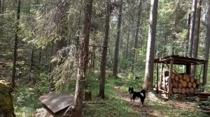 Стройка базовой избы . Часть третья.