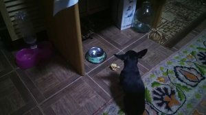 17 июня 2019 г.