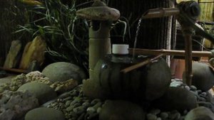 Мой Японский сад Цубо