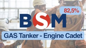 82,5% BSM - GAS Tanker - Engine Cadet (Seafarers Evaluation Platform) прошел тест