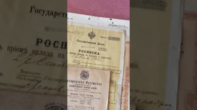 zx11 смотреть онлайн