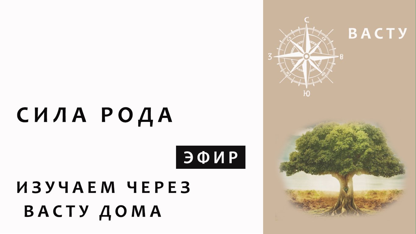 СИЛА РОДА. ЭНЕРГИЯ ПАПЫ