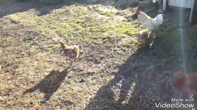 Деревенские будни смотреть онлайн