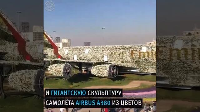 Самый большой цветочный парк в мире.