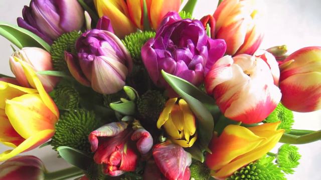 FLOWERS Platinum TRIBUTE™ смотреть онлайн