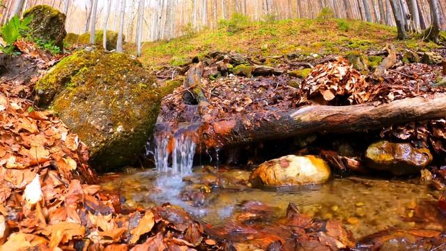 ЗВУКИ ПРИРОДЫ МОРЕ ВОДАПАД ПЕНИЕ ПТИЦ ШУМ МОРЯ ШТОРМ ШУМ ЛЕСА СНЕГ TABIAT DENGIZ смотреть онлайн