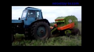 Трудоустройство беженцев