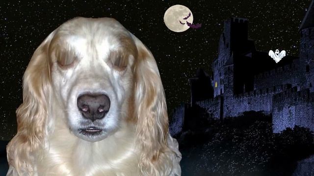 Топ - сон смотреть онлайн