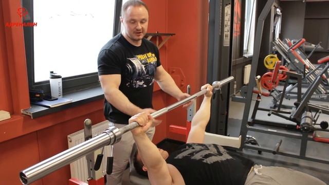 Основы жима лежа для новичков. смотреть онлайн