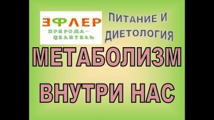 П41 - МЕТАБОЛИЗМ ВНУТРИ НАС