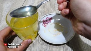 ЗАМОЧИТЕ СЕМЕНА ОГУРЦОВ В ЭТОМ! И БЫСТРО ВЗОЙДУТ ДАЖЕ СТАРЫЕ СЕМЕНА