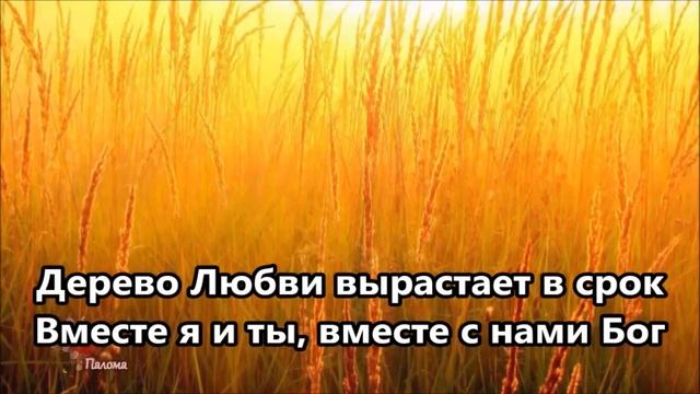 Дерево любви. Караоке смотреть онлайн
