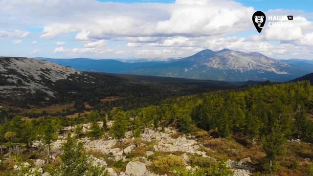 Наша Сибирь.08.06.2022.