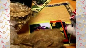 Шишкин Лес.  Совинформ.  Цветочные часы