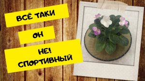 Волшебница и Австралийский город совсем не похожи..