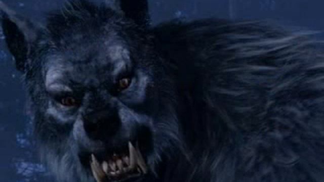 Werewolf love 7 смотреть онлайн