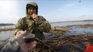 РЫБАЛКА НА ПЛОТВУ ВЕСНОЙ: ЛОВЛЯ ПЛОТВЫ В АПРЕЛЕ, КОГДА КЛЮЕТ ПЛОТВА , КАК ЛОВИТЬ ПЛОТВУ