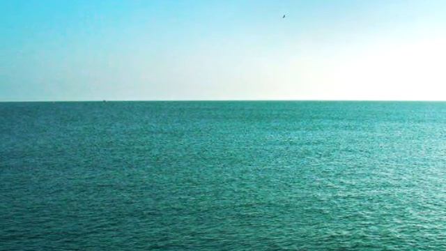 Зачем нужна география смотреть онлайн