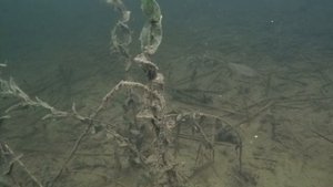 У причала. Самарская область, село Екатериновка.