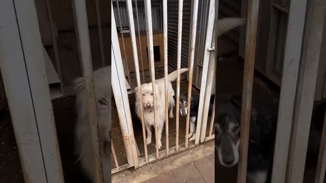 ПРИЮТ «ПОДАРОК СУДЬБЫ» УЛЬЯНОВСК