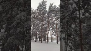 Один день в Елабуге
