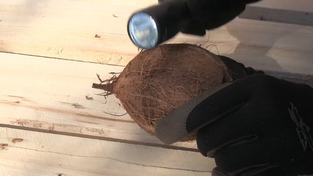 Как разбить кокосовый орех