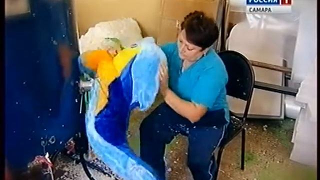 Линия-успеха.рф. Самарские производители детских товаров. Покупайте самарское! смотреть онлайн