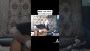 Море спит после пьяного шторма