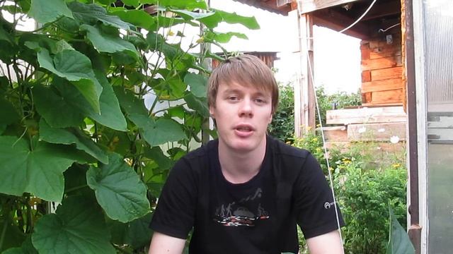 Гидропоника, НИТРАТЫ!!! Отрава