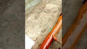 Жидкий пластик своими руками , изготовление в домашних условиях
