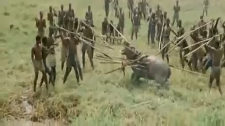 Chasse groupés à la lance en Afrique (1960) [Flokossama] смотреть онлайн