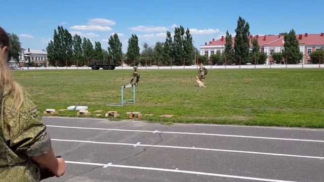 Показательные выступления команды "Хельфер Дог" на день ВДВ, г.Камышин смотреть онлайн