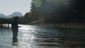 Где ловить карася в октябре? и на что клюет карась в октябре?