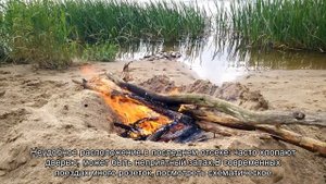 Какой вагон лучше выбрать в поезде - первый или последний