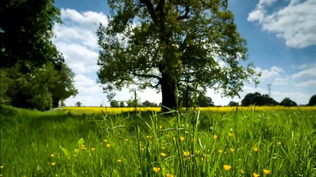 Surah Al Hijr || Surah Al Hijr Full || Surat Al Hijr || Patience and Peace