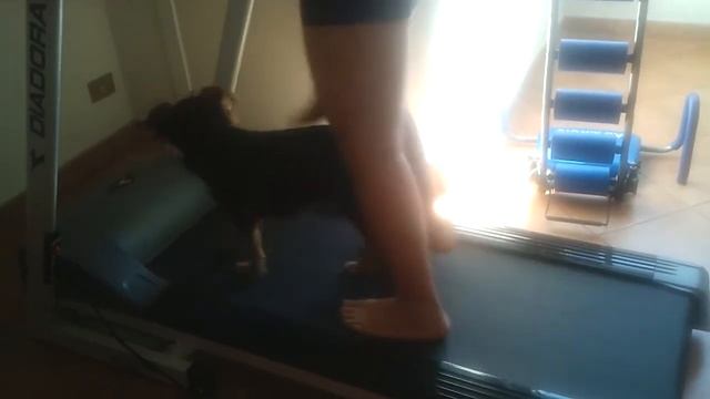 Gioia tapis roulant смотреть онлайн