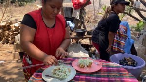 Desde el jabalí, fuimos por más medicina natural para la diabetes