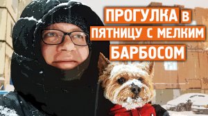 Прогулка в пятницу / Берем пример с барбоса / Норильск блог