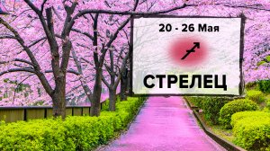 СТРЕЛЕЦ ♐ 20 - 26 Мая 2024 | Расклад таро на неделю для знака Зодиака Стрелец