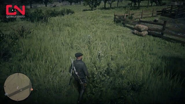 Red Dead Online - Wild Carrots Location - 5 Wild Carrots Picked - Daily Challenge смотреть онлайн