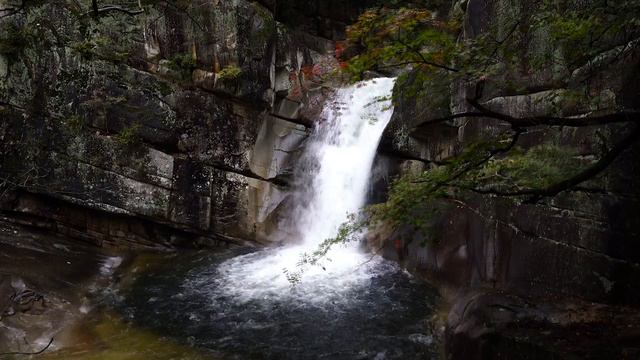 [4K 영상] 강릉 무릉계곡 용추폭포/베틀바위 산성길 무릉계곡 비경 ASMR sounds of nature смотреть онлайн