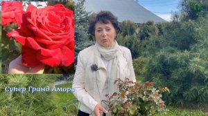 Открытие каталога ВЕСНА 2024. Питомник растений Е. Иващенко