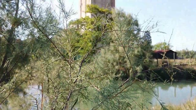 Что скрывает остров Торчелло? Острова венецианской лагуны смотреть онлайн