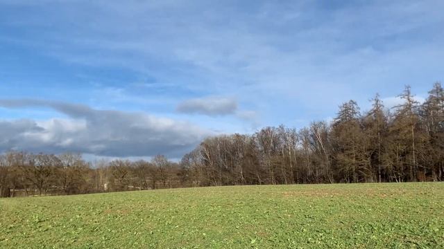 Прогулка в выходные-Переезд в Германию-жизнь в Германии- поздние переселенцы