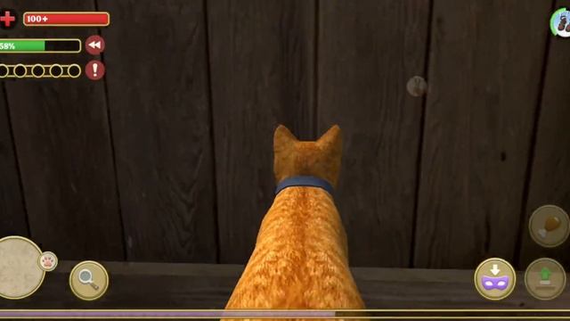 Прохождение игры "симулятор кота и кошки" #1 смотреть онлайн