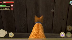 Прохождение игры "симулятор кота и кошки" #1