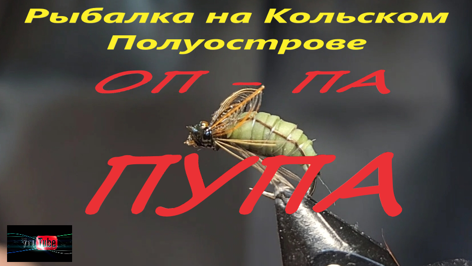 Куколка ручейника. Caddis Pupa.Fly Tying Caddis Pupa.