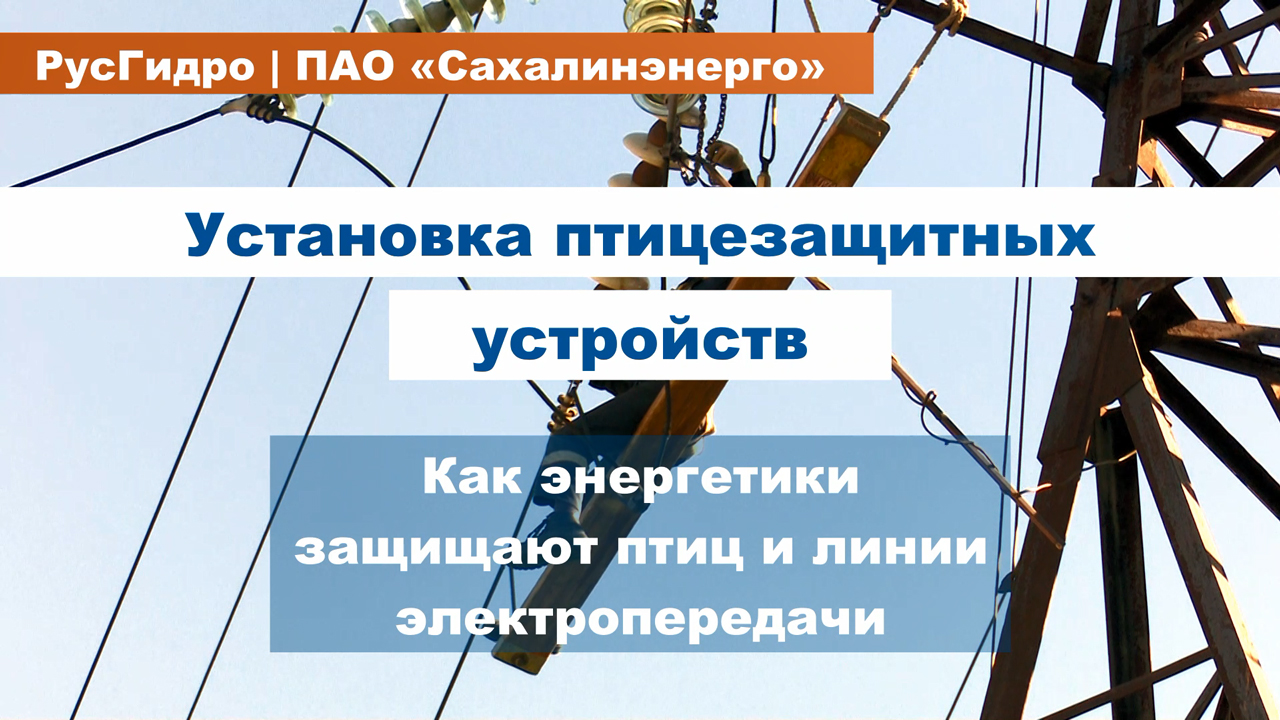 Установка птицезащитных устройств на ЛЭП "Сахалинэнерго"