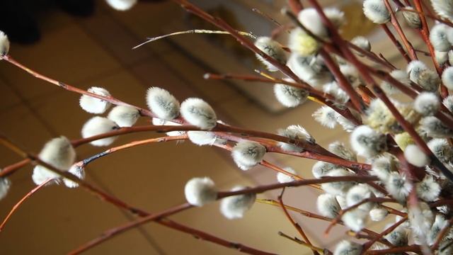 Служба на Вербное воскресение смотреть онлайн