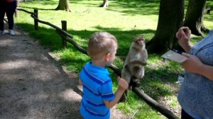 Видео для детей Зоопарк для детей  VLOG Контактный зоопарк для детей visit to zoo